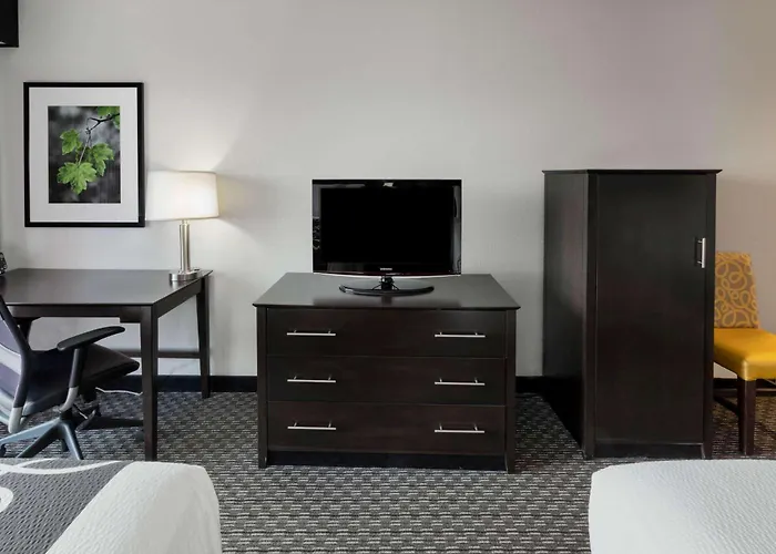 Hotel Bloom