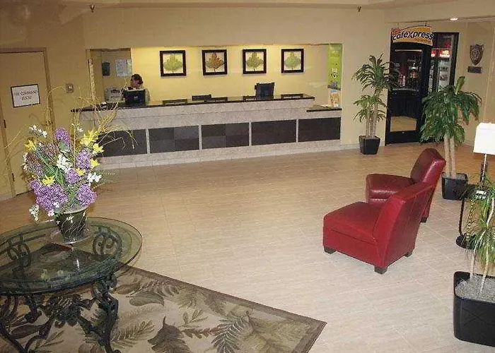 Bloom Hotel