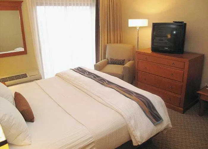Bloom Hotel 3*