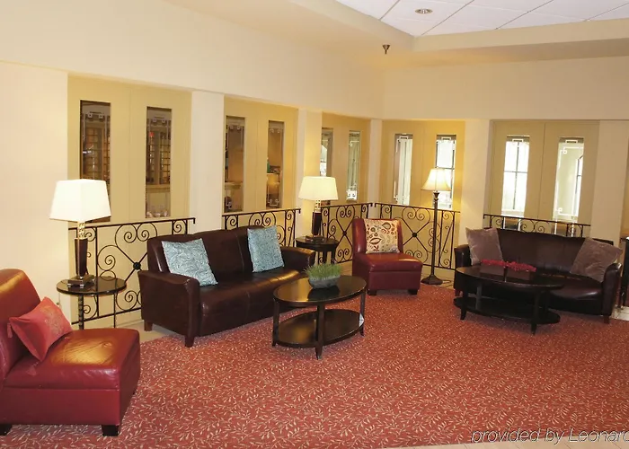 Hotel Bloom 3*
