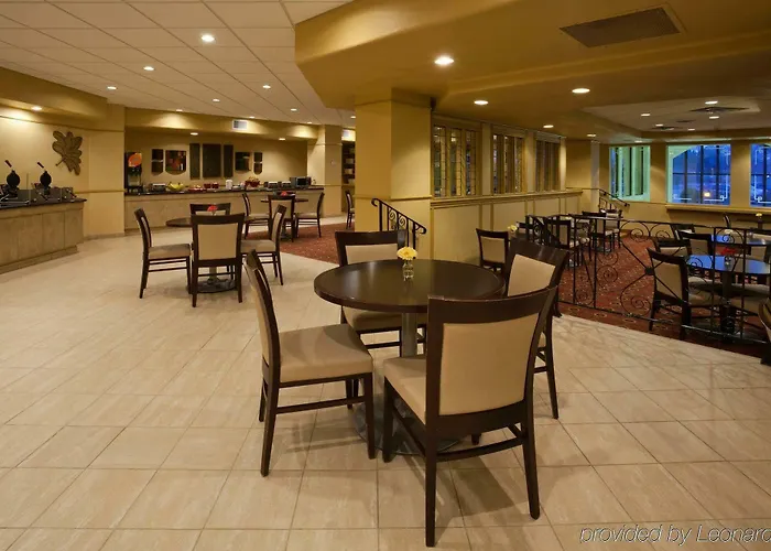 Hotel Bloom 3*