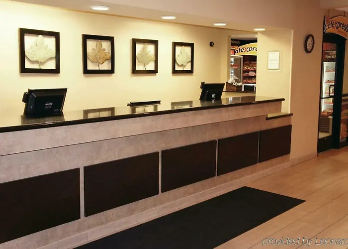 Bloom Hotel 3*